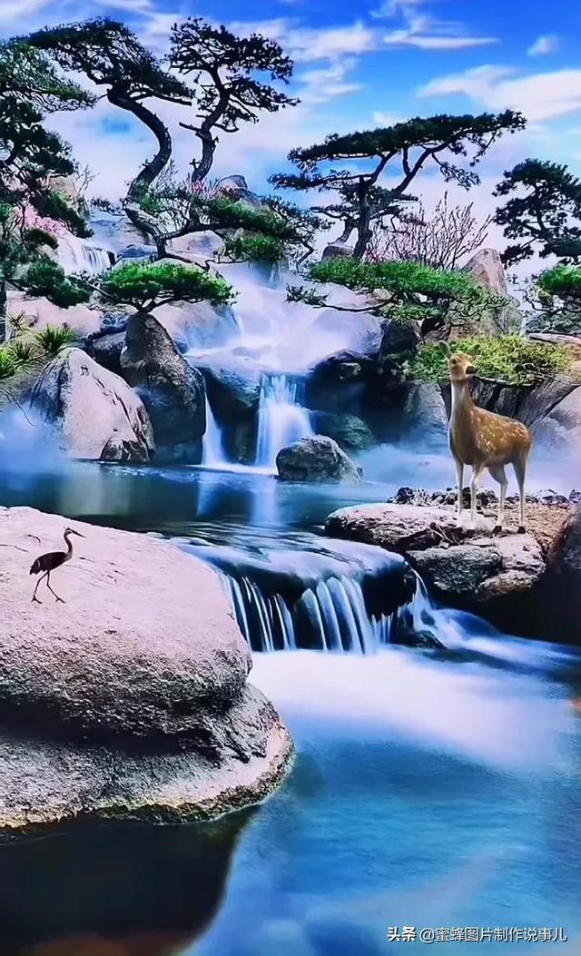 陕西首届中老年羽毛球赛开打,举行老年人活动应该注意什么?-专业的红迪网平台